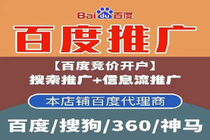 Sem优化公司成功案例：快速占领市场